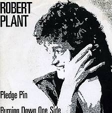 Robert Plant : Pledge Pin